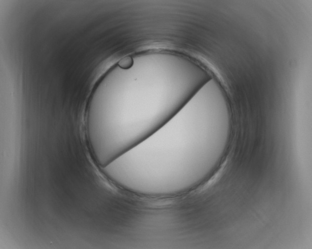 X0000112381129200908131318