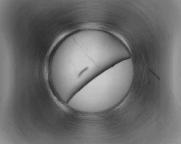 X0000112381131200908131318