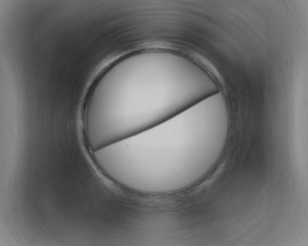 X0000112381133200908131318