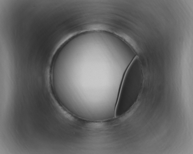 X0000112381134200908131318