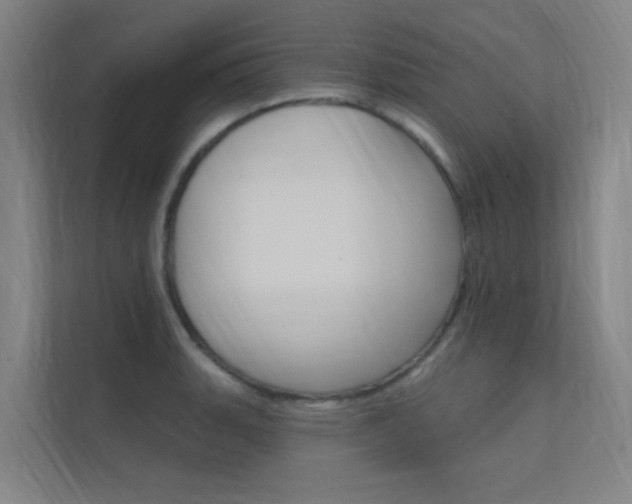 X0000112381135200908131318