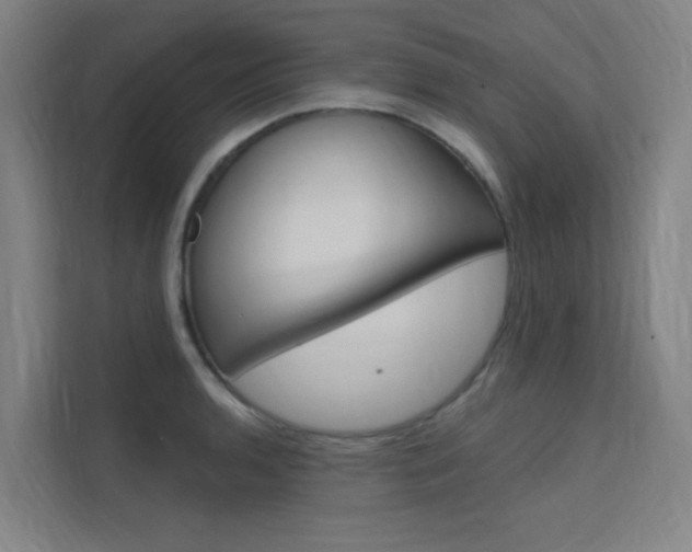 X0000112381136200908131318