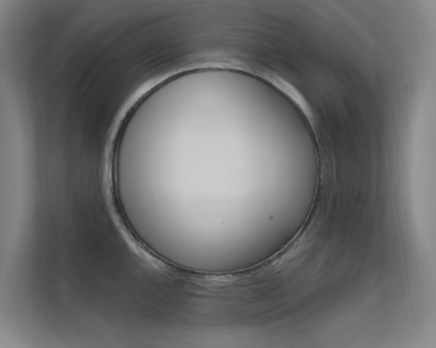 X0000112381144200908131318