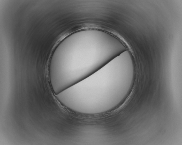 X0000112381145200908131318