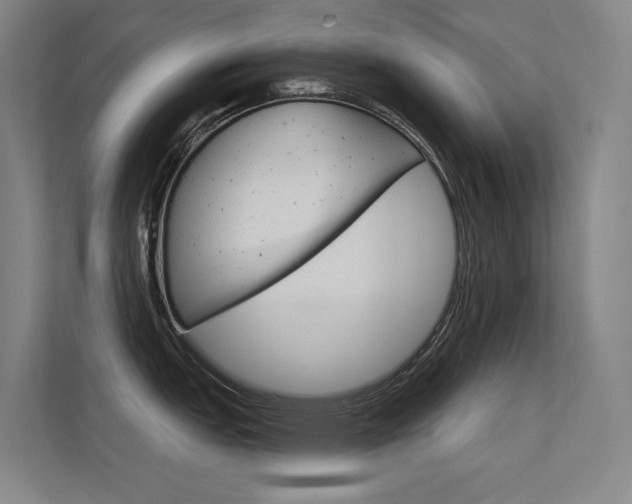 X0000112381151200908131319