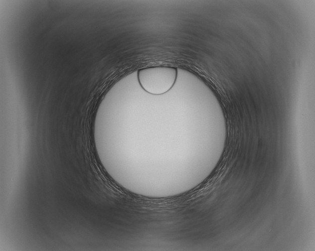 X0000112381153200908131318