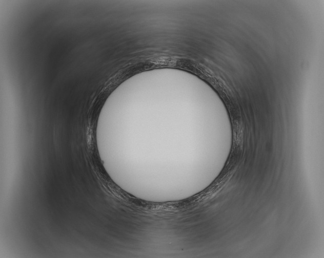 X0000112381154200908131318