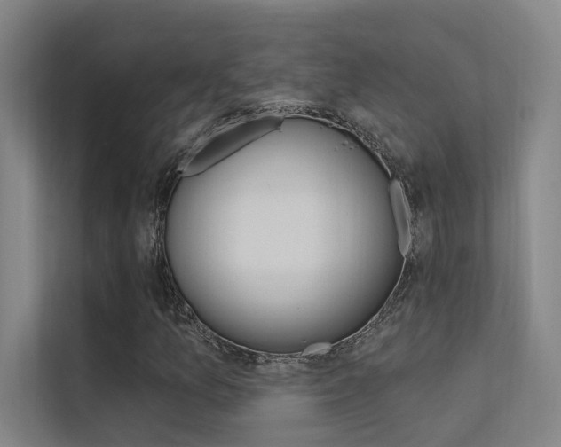 X0000112381157200908131318