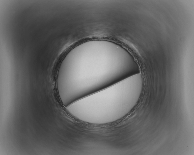 X0000112381160200908131318