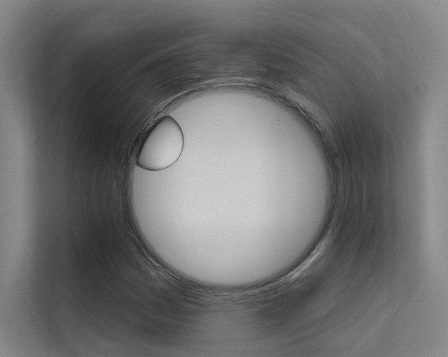 X0000112381161200908131318