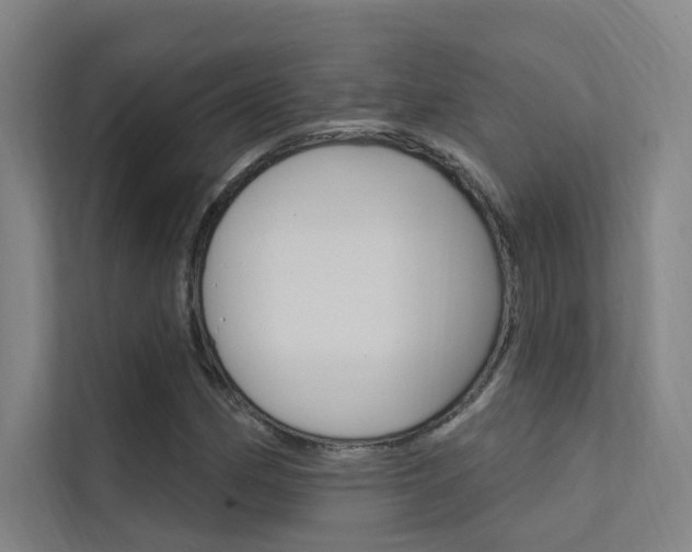 X0000112381162200908131318