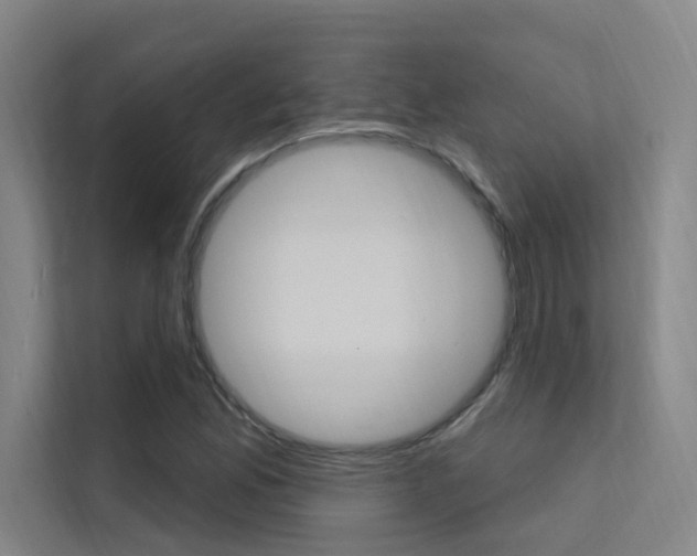 X0000112381165200908131318