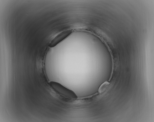 X0000112381169200908131318