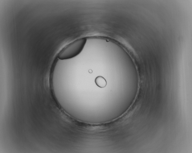 X0000112381173200908131318