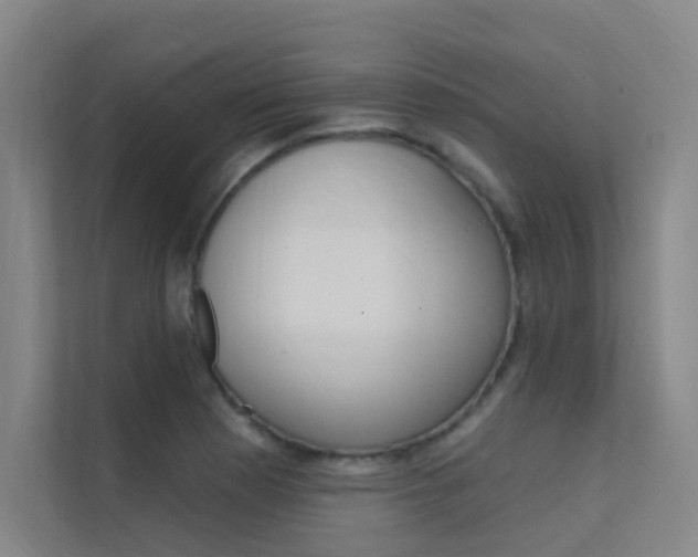X0000112381177200908131318