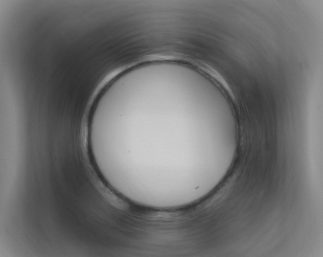 X0000112381179200908131318