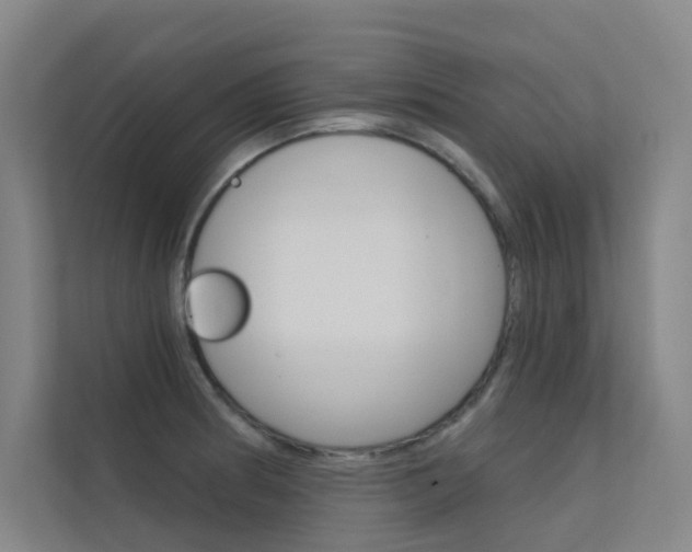 X0000112381186200908131317