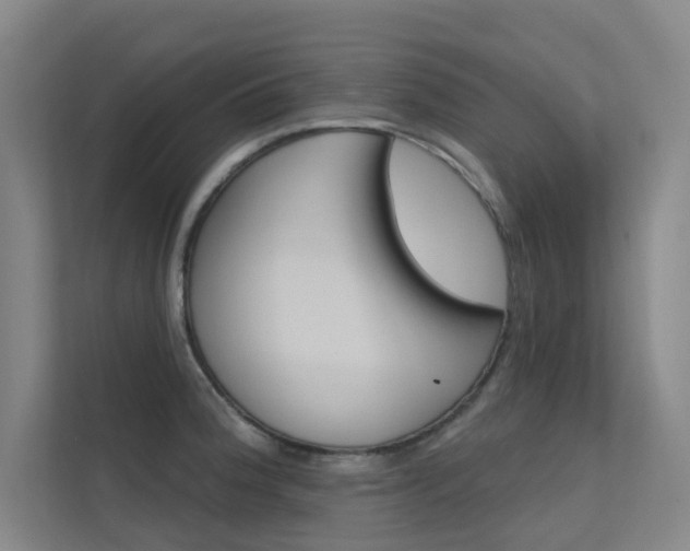 X0000112381188200908131317