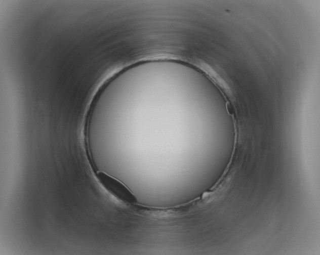 X0000112381189200908131317