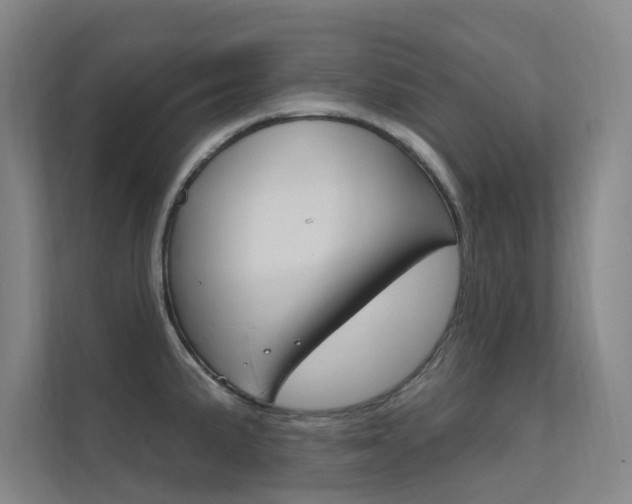 X0000112381191200908131317