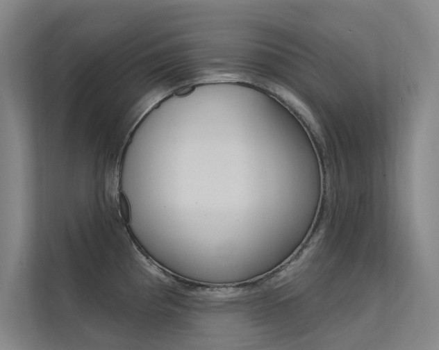 X0000112381193200908131317