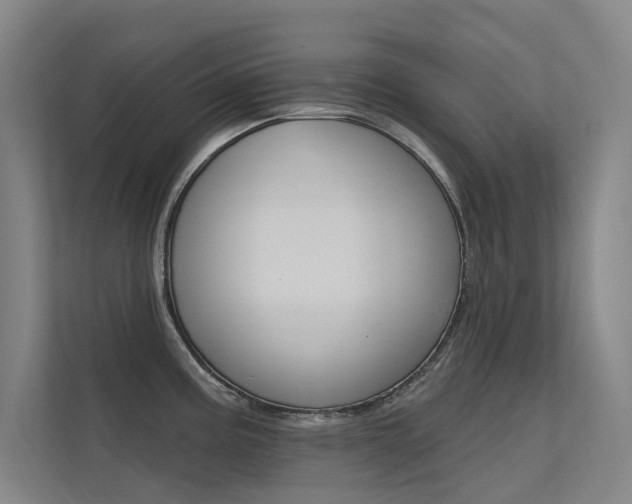X0000112381195200908131317