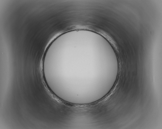 X0000112381198200908131317