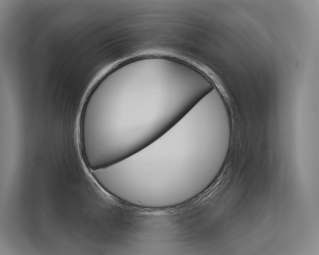 X0000112381199200908131317