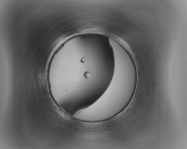 X0000112381200200908131317