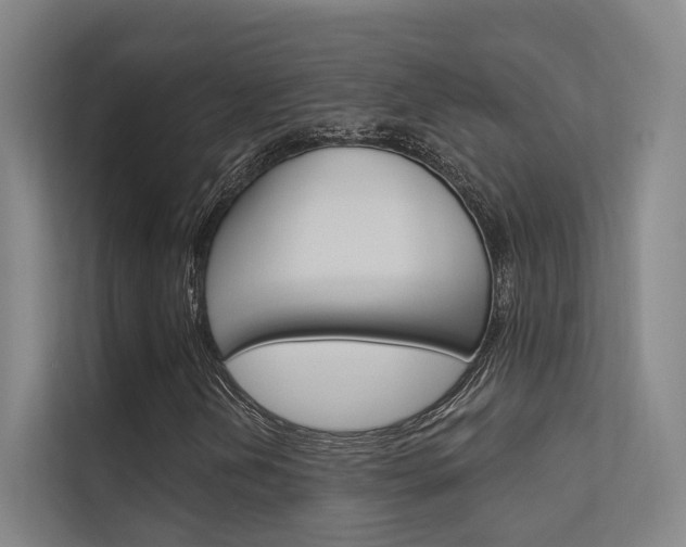 X0000112381202200908131317