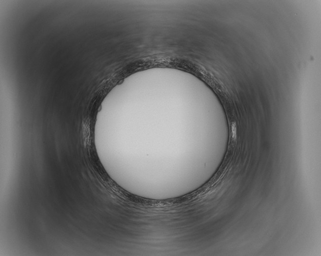 X0000112381203200908131317