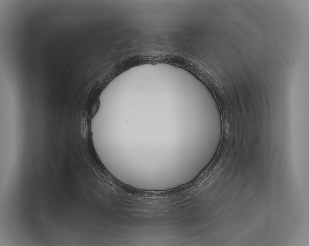 X0000112381204200908131317