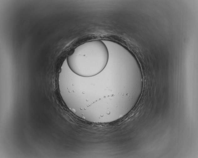 X0000112381205200908131317