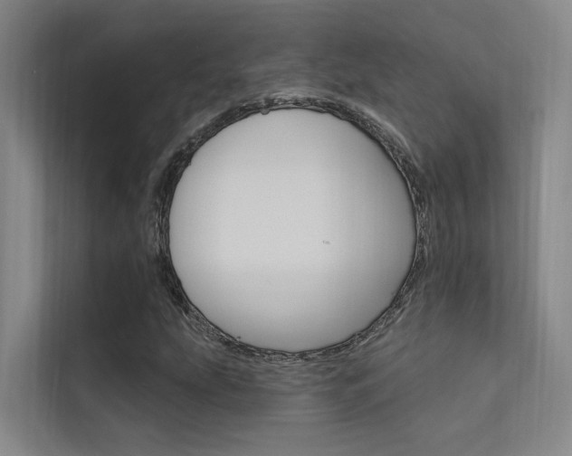 X0000112381207200908131317
