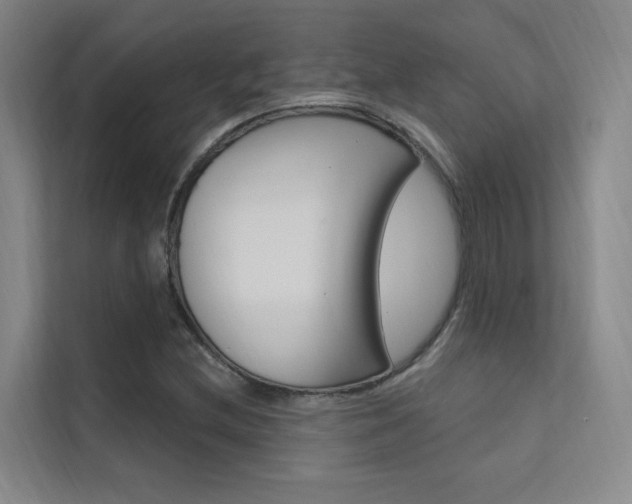 X0000112381212200908131317