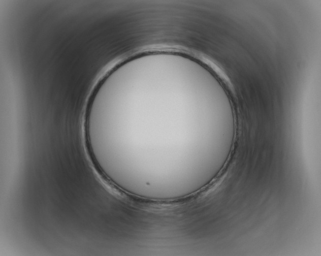 X0000112381237200908131317