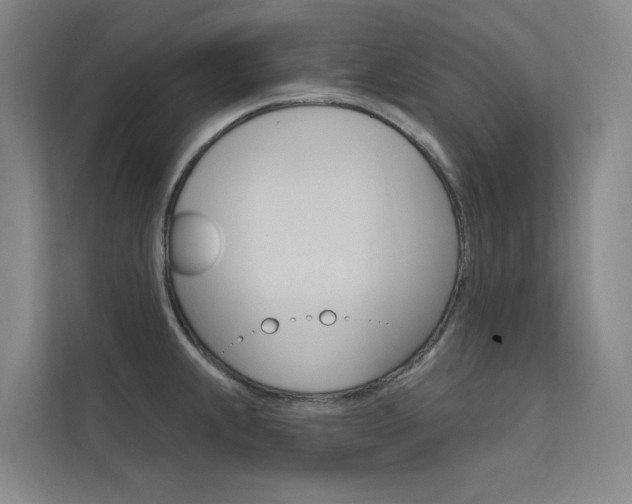 X0000112381239200908131317