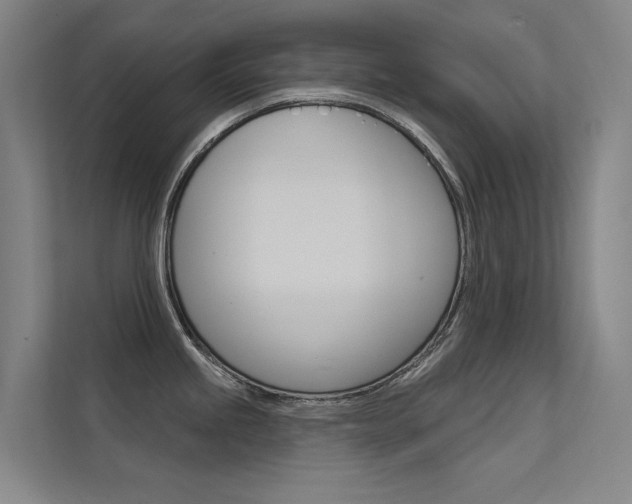 X0000112381245200908131317