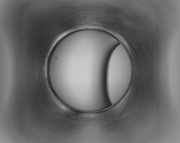 X0000112381246200908131317