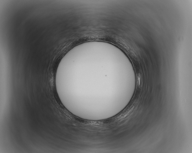 X0000112381251200908131317