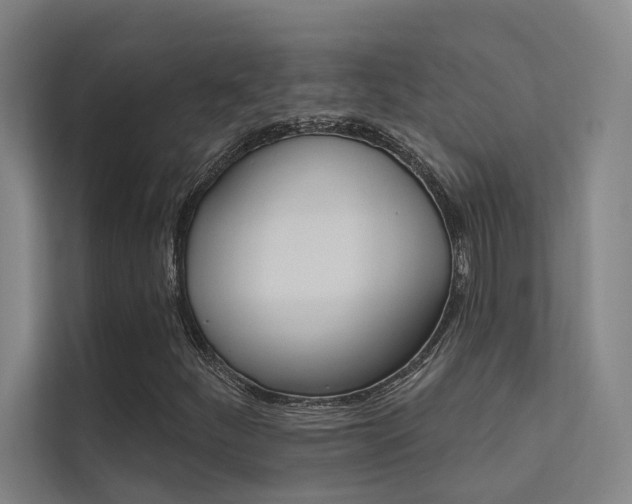 X0000112381252200908131317