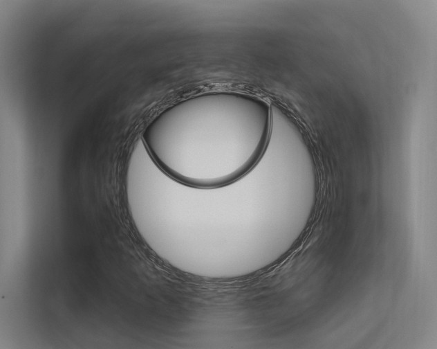 X0000112381253200908131317