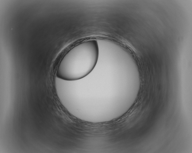 X0000112381256200908131317