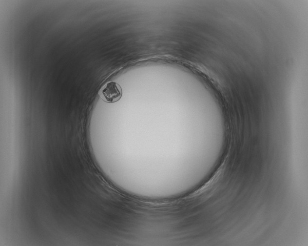 X0000112381257200908131317
