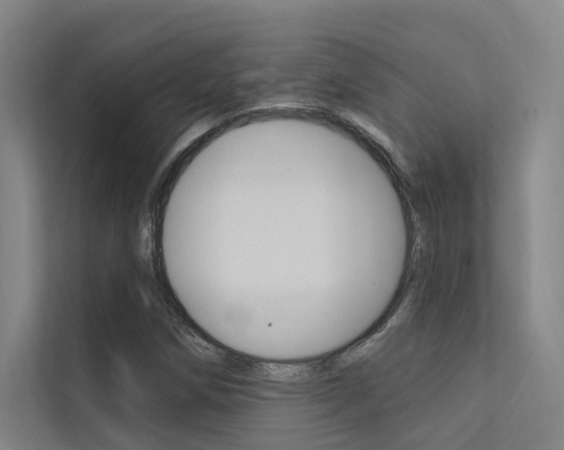 X0000112381258200908131317
