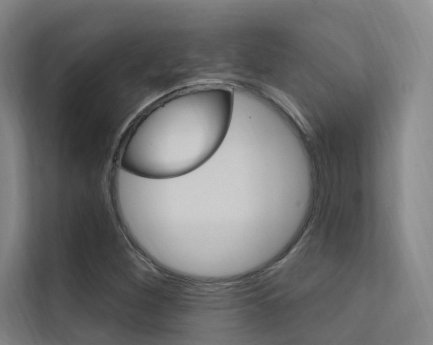 X0000112381260200908131317