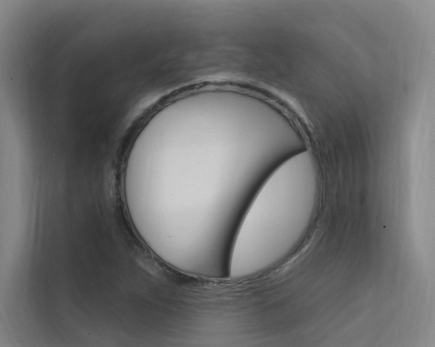 X0000112381263200908131316