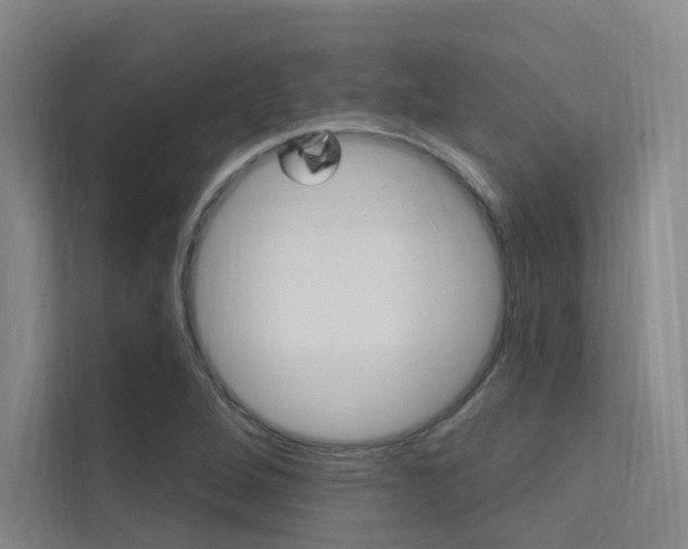 X0000112381264200908131316