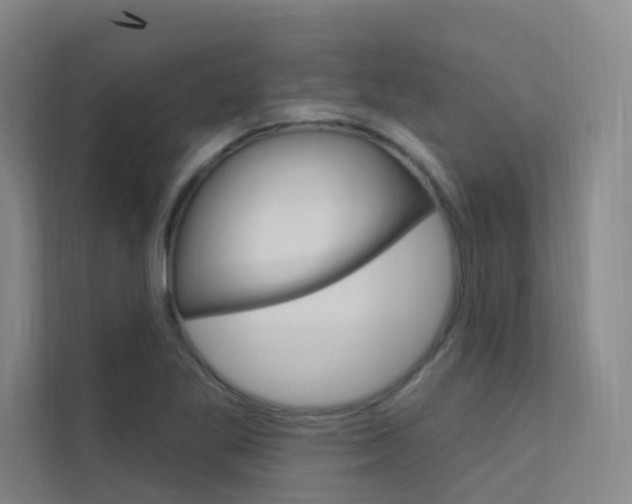 X0000112381269200908131316