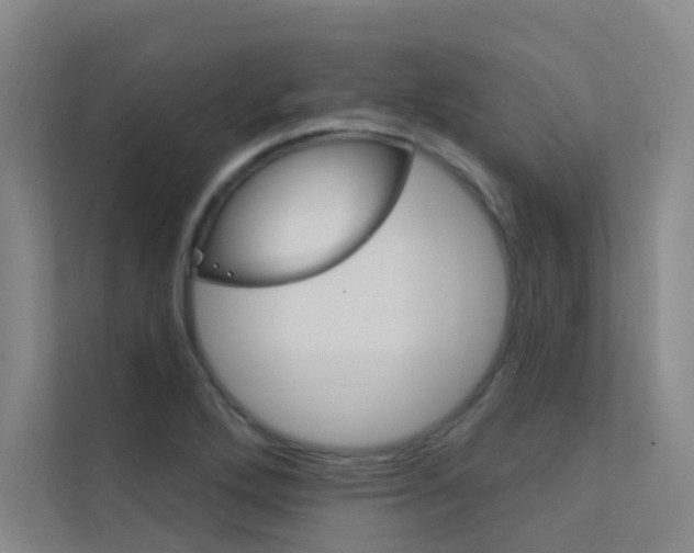 X0000112381272200908131316